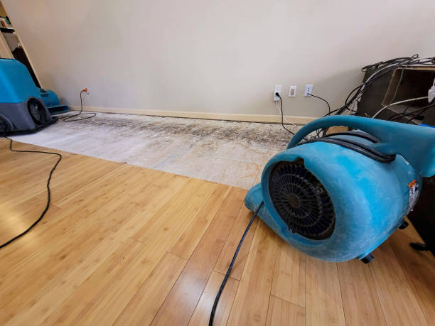 Professional Sewage Cleanup technician working in Bois D Arc, MO